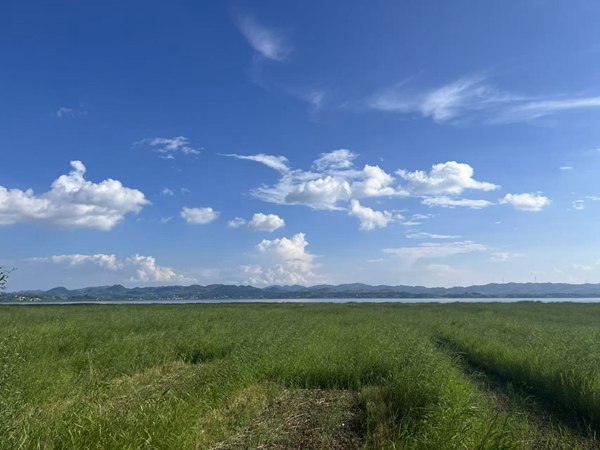 草海边