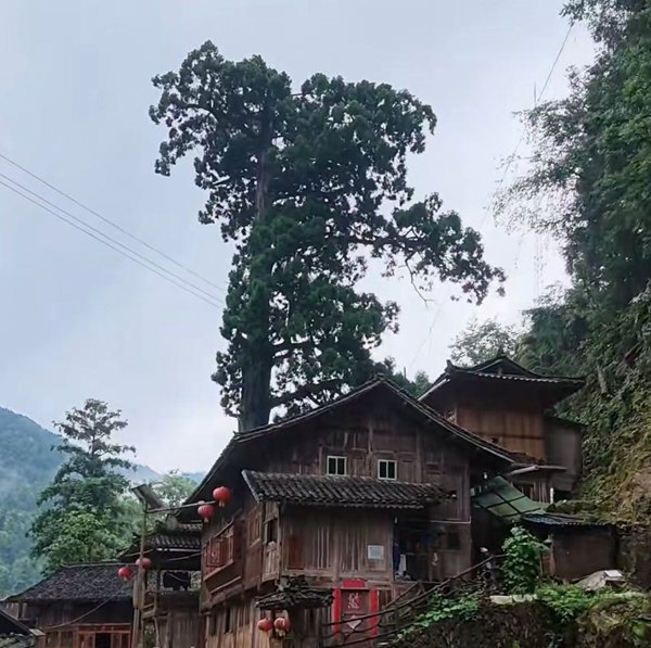 格头苗寨 感受大山里的慢时光