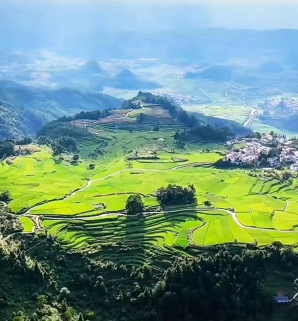 花溪高坡