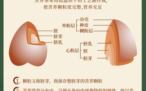 威宁苦荞茶：名字带”苦”却喝着香，这杯高原”五谷之王”什么来头？