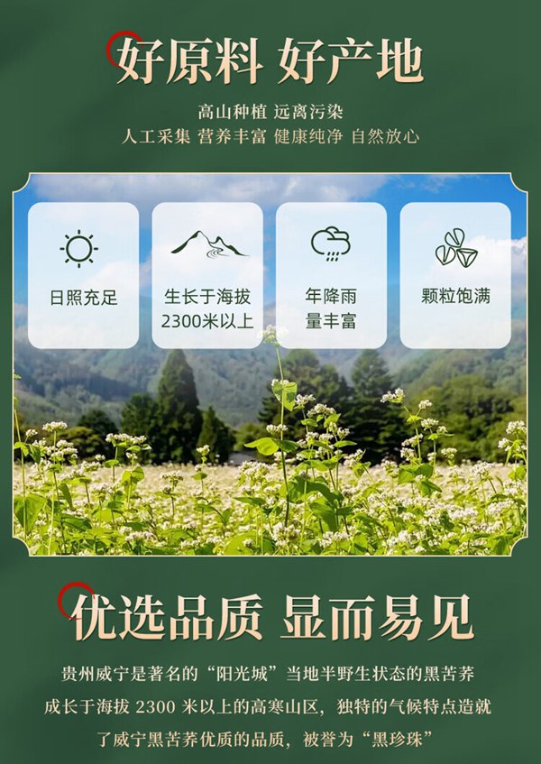 苦荞产地