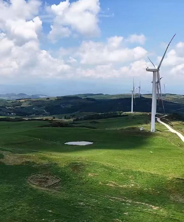 灼甫万亩高山草场