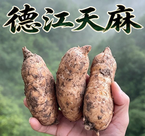 购买可以加入我们好物群,也可以点击上图京东购买