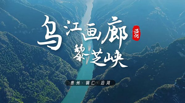 水