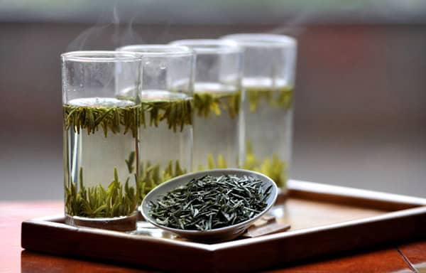 石阡苔茶