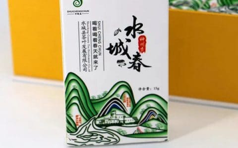 水城春茶